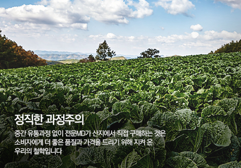 정직한 과정주의 중간 유통과정 없이 전문MD가 산지에서 직접 구매하는 것은 소비자에게 더 좋은 품질과 가격을 드리기 위해 지켜 온 우리의 철학입니다.